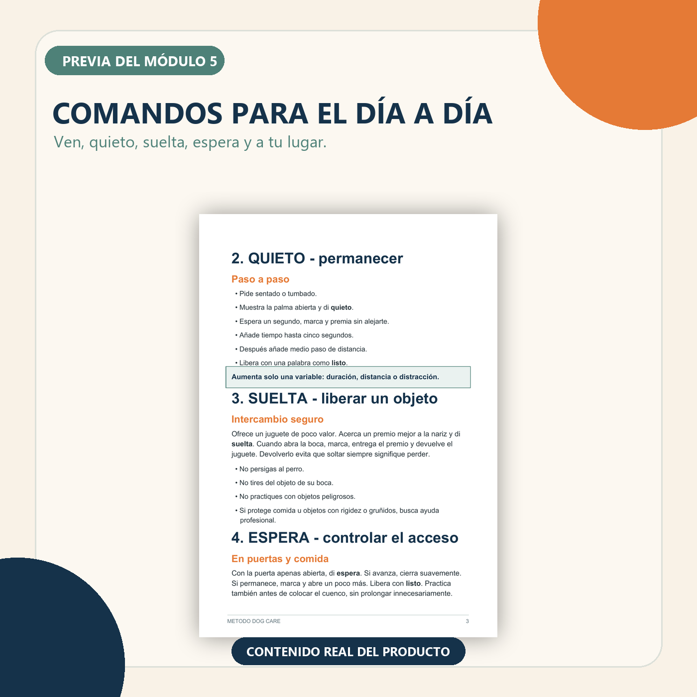 Previa del módulo 5: comandos útiles para el día a día